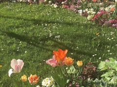 -海南鉴湖蓝湾高尔夫球会