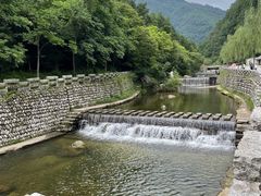 -牛背梁国家森林公园