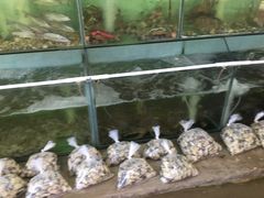 水产区-蚝乡农庄(铁涌赤岸店)