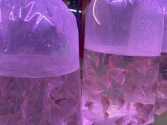 -华声天桥民俗文化园