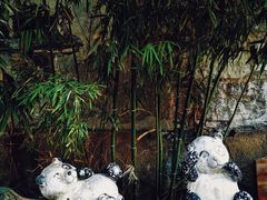 -老门东历史文化街区