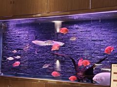 -手佳·水疗汇(嘉益店)