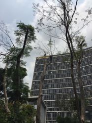 -深圳市妇幼保健院(红荔院区)