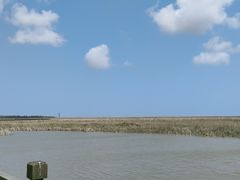 -盐城丹顶鹤湿地生态旅游区