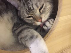 -小时光咖啡馆(开森度假森林店)