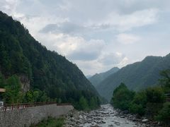 -黑河国家森林公园