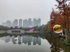 -重庆彩云湖湿地公园