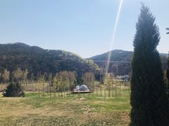 -棒棰岛宾馆景区