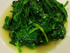 清炒豌豆苗-北平楼·烤鸭·北京菜(牡丹园店)