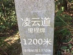 -梧桐山风景名胜区