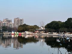 -新江湾城公园