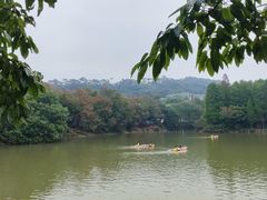 -星湖旅游景区七星岩