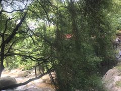 -陕西省红河谷森林公园