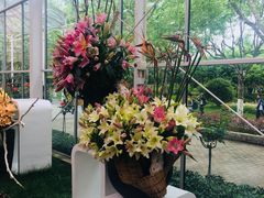 -上海鲜花港