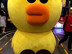 -line friends(明洞旗舰店)