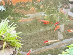 -广州白天鹅宾馆