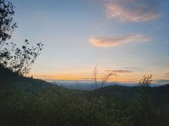 -长虫山生态公园风景林