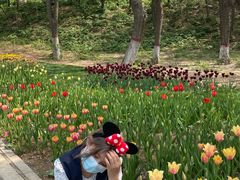 -石家庄市植物园