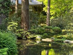 -三千院