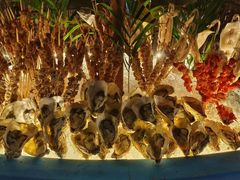 -亚龙湾希尔顿自助餐厅·海鲜·烧烤·沙滩BBQ·现场乐队