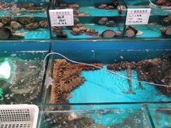 -中苑海韵