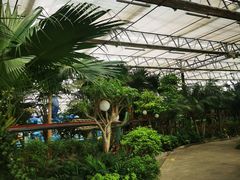 -南宫五洲植物乐园