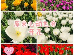 -静安雕塑公园