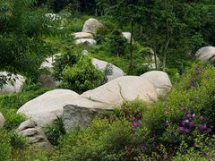 -火炉山森林公园
