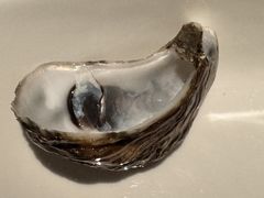 -Oyster Talks 四度蚝法餐厅