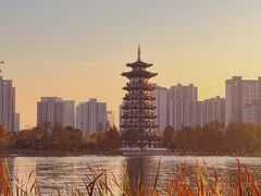 -洋湖国家湿地公园