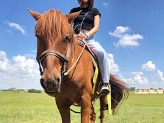 -塞罕坝国家级自然保护区