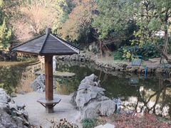 -华山医院-食堂