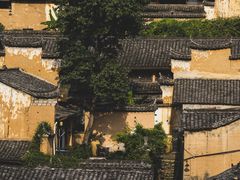 -杨家堂村