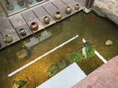 -几荷·恰似故人来(秀水广场店)