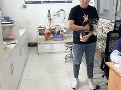 -派美特宠物医院·核磁CT·骨科肿瘤·疑难转诊(沈农禾丰店)