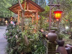 -青城甲(青城山店)