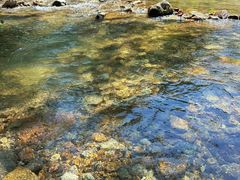 -北仑森林植物园