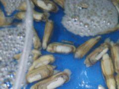 -晓伟海鲜家常菜