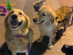 -喜茶(广州番禺奥园广场店)