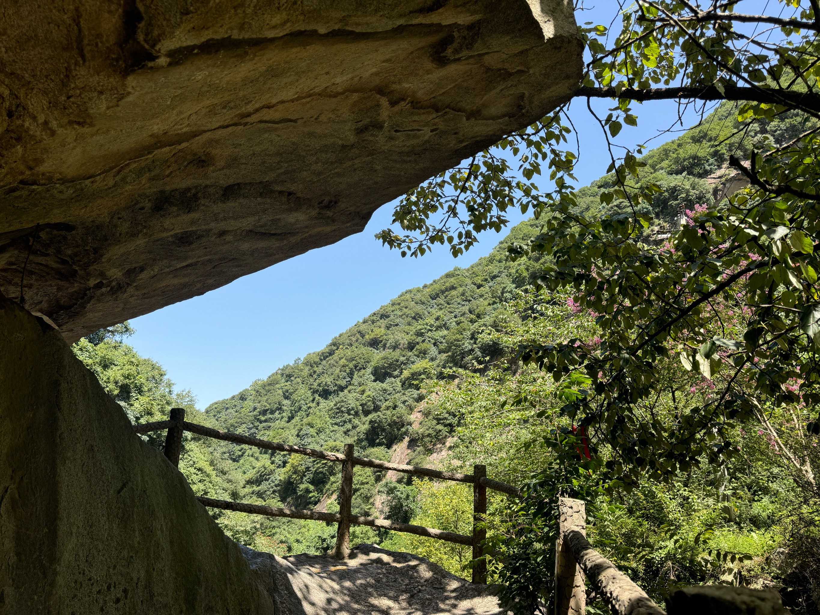 西安祥峪森林公园图片