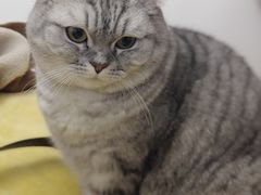 -巫山烤全鱼·重庆鸡公煲(吴中路店)