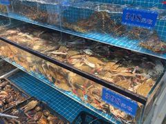 -王潮活海鲜自助·蒸汽海鲜