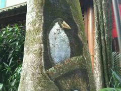 -农厨好味·温泉鹅·农家菜