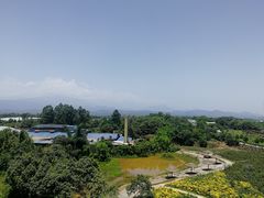 -都江堰玫瑰花溪谷