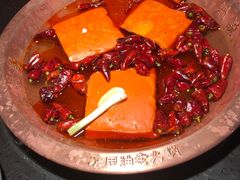 -锅说大脸毛肚重庆老火锅(佐阾店)