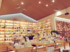-猫的天空之城概念书店(印象城购物中心店)