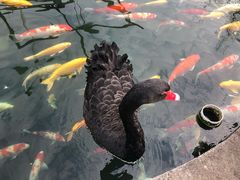 -湖鲜楼
