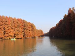 -上海海湾国家森林公园