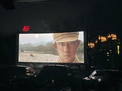 -枫花园汽车电影院(朝阳公园店)