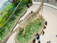 -辽宁古生物博物馆